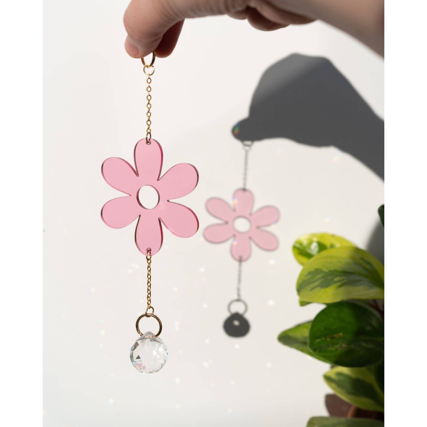 Daisy Singlet Sun Catcher