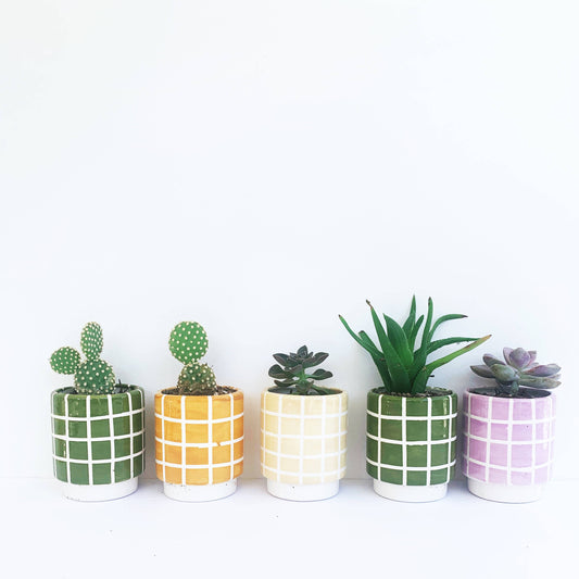 Checked Out Pot