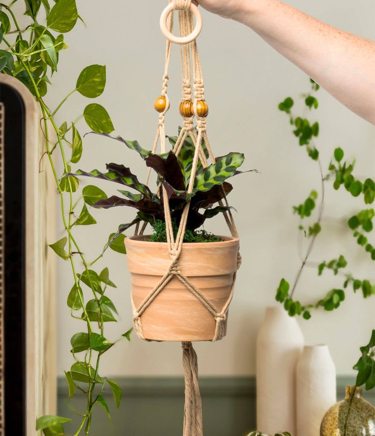 Seed & Sprout Let's Hang Macrame Plant Hanger