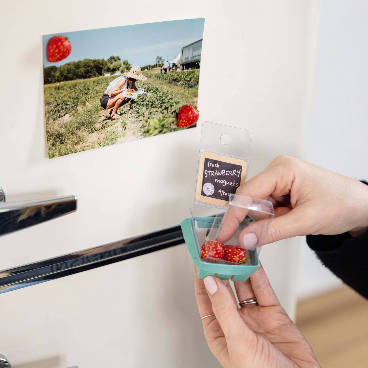 Colorful STRAWBERRY magnets ICONIC packaging s/4