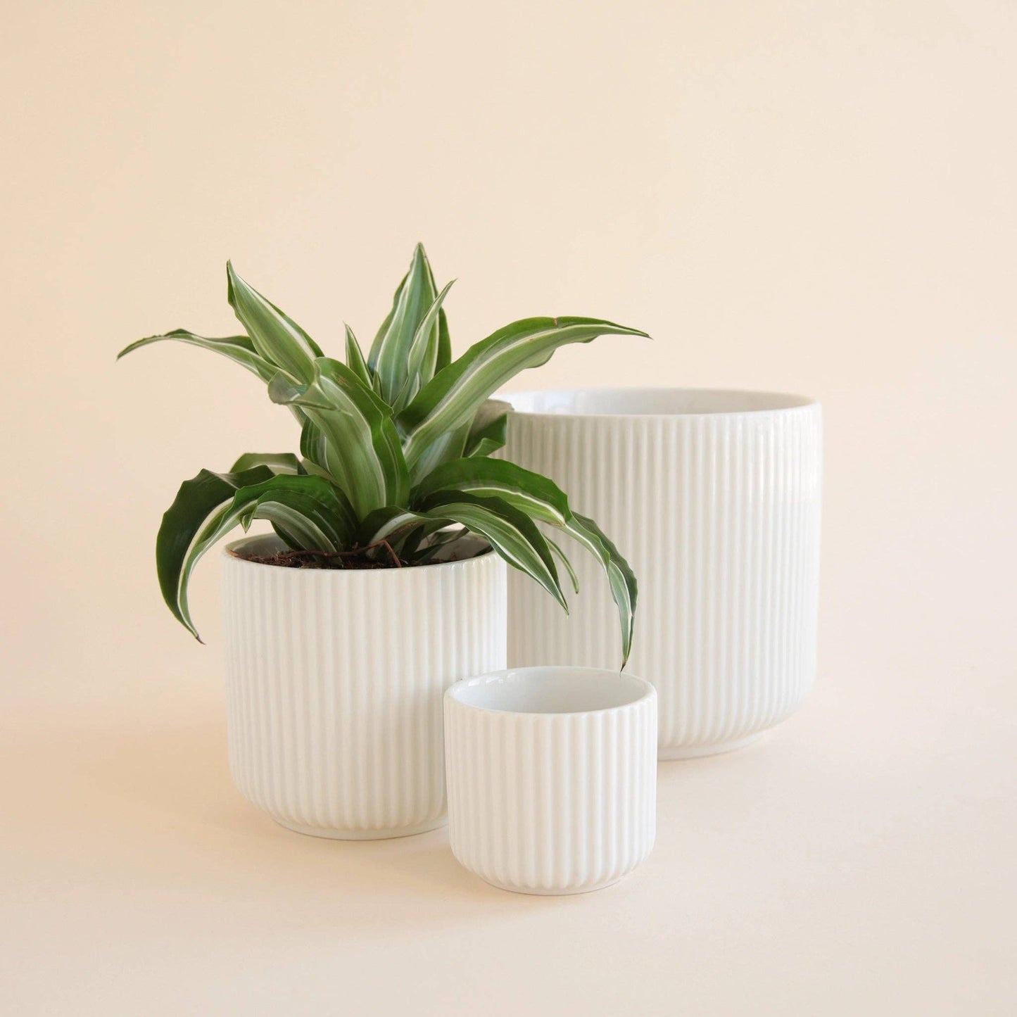 Lucy Pot | White 3" & 4.5"
