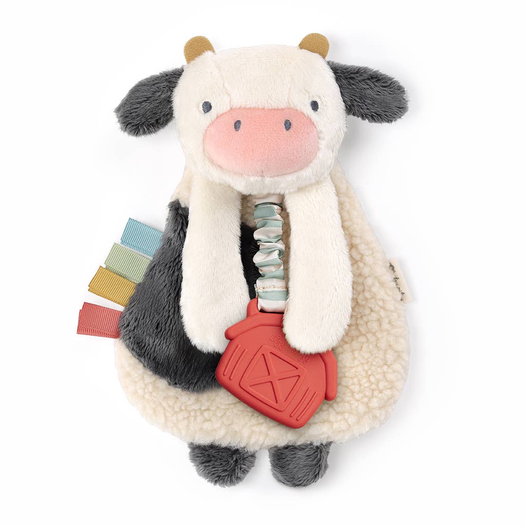 Itzy Friends Lovey™ Plush
