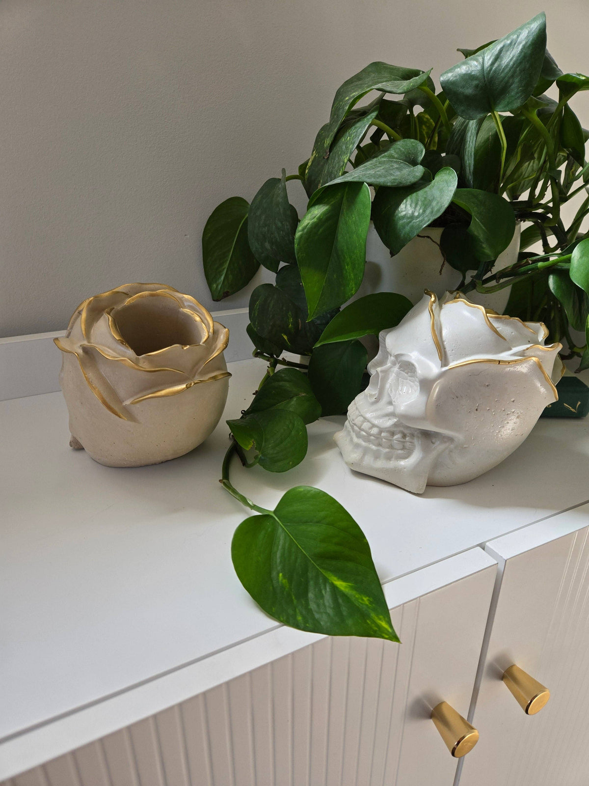 Rose Petal Skull