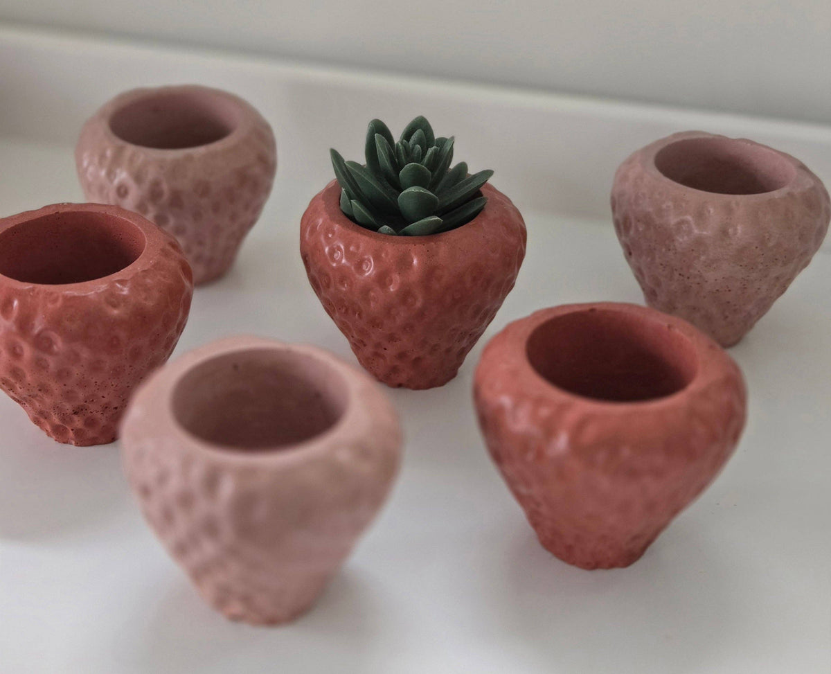 Strawberry Planter