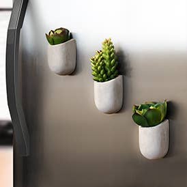 MAGNETIC PLANT POTS
