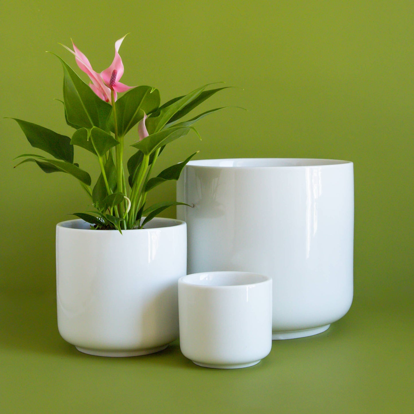 Charlie Pot | White 4.5" & 6.75"