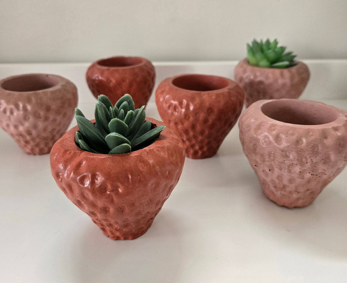 Strawberry Planter
