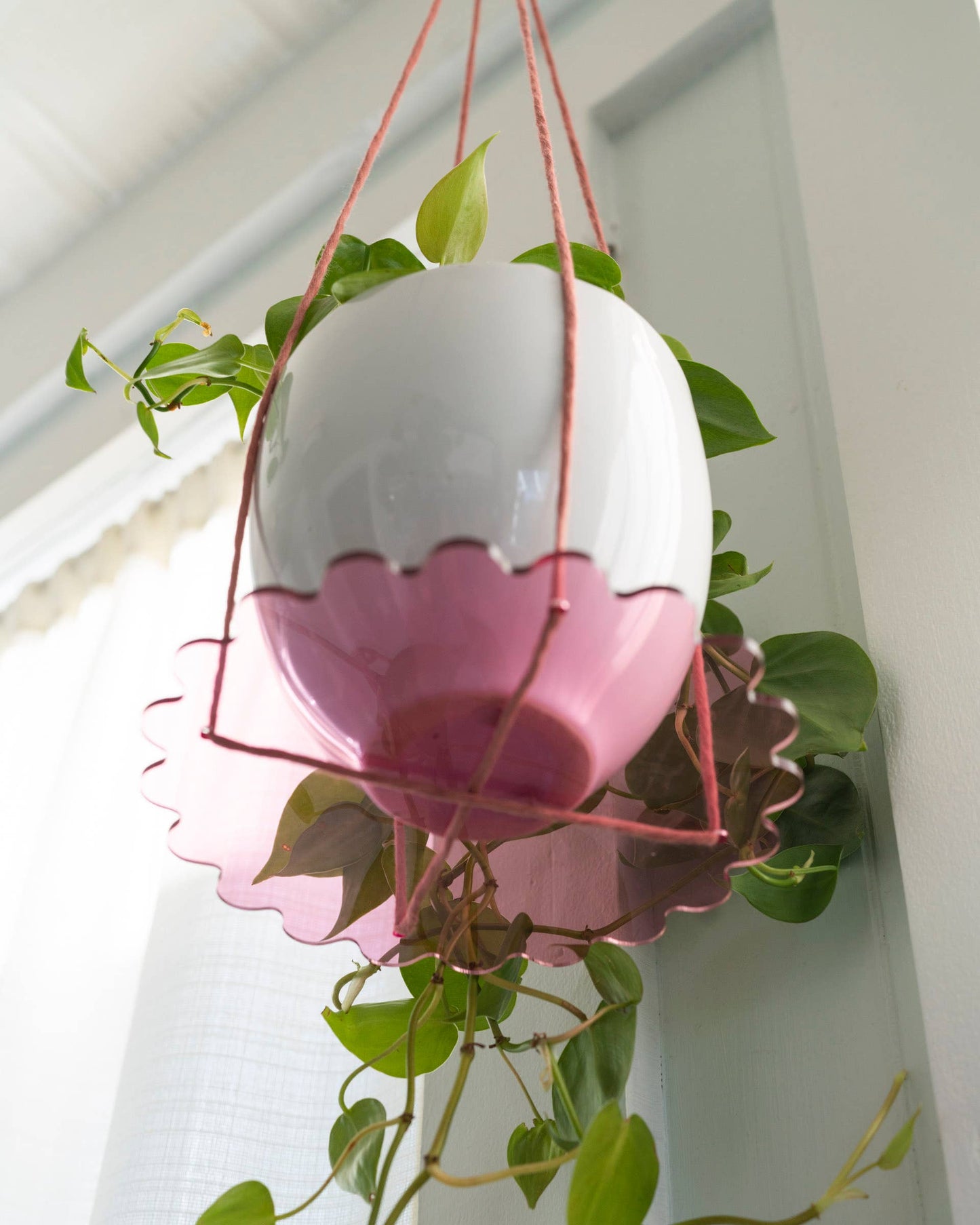 Squiggle Plate Plant Hanger