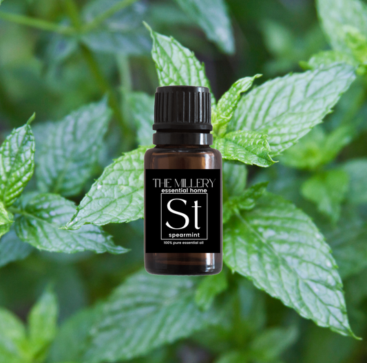 Spearmint Essential Oil