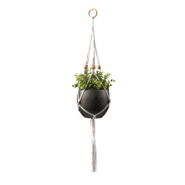 Seed & Sprout Let's Hang Macrame Plant Hanger
