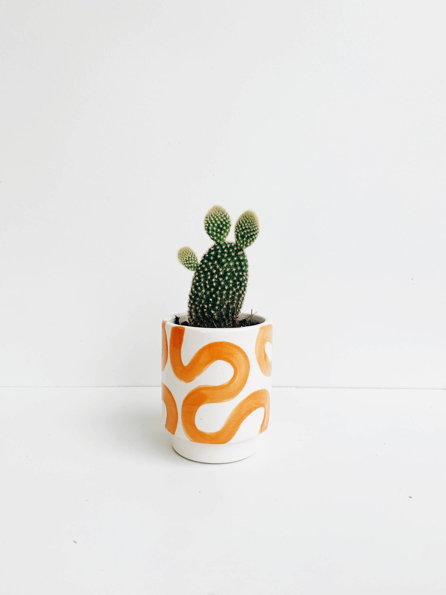 Squiggle Pots