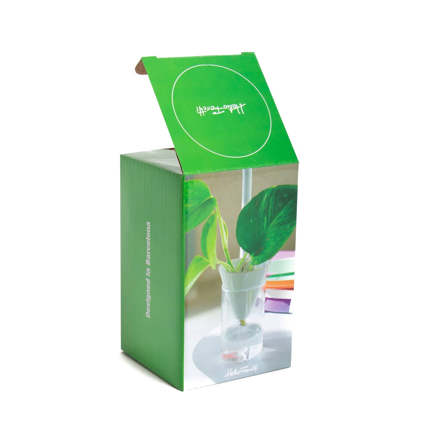 White Cone Hydroponics Vase HF
