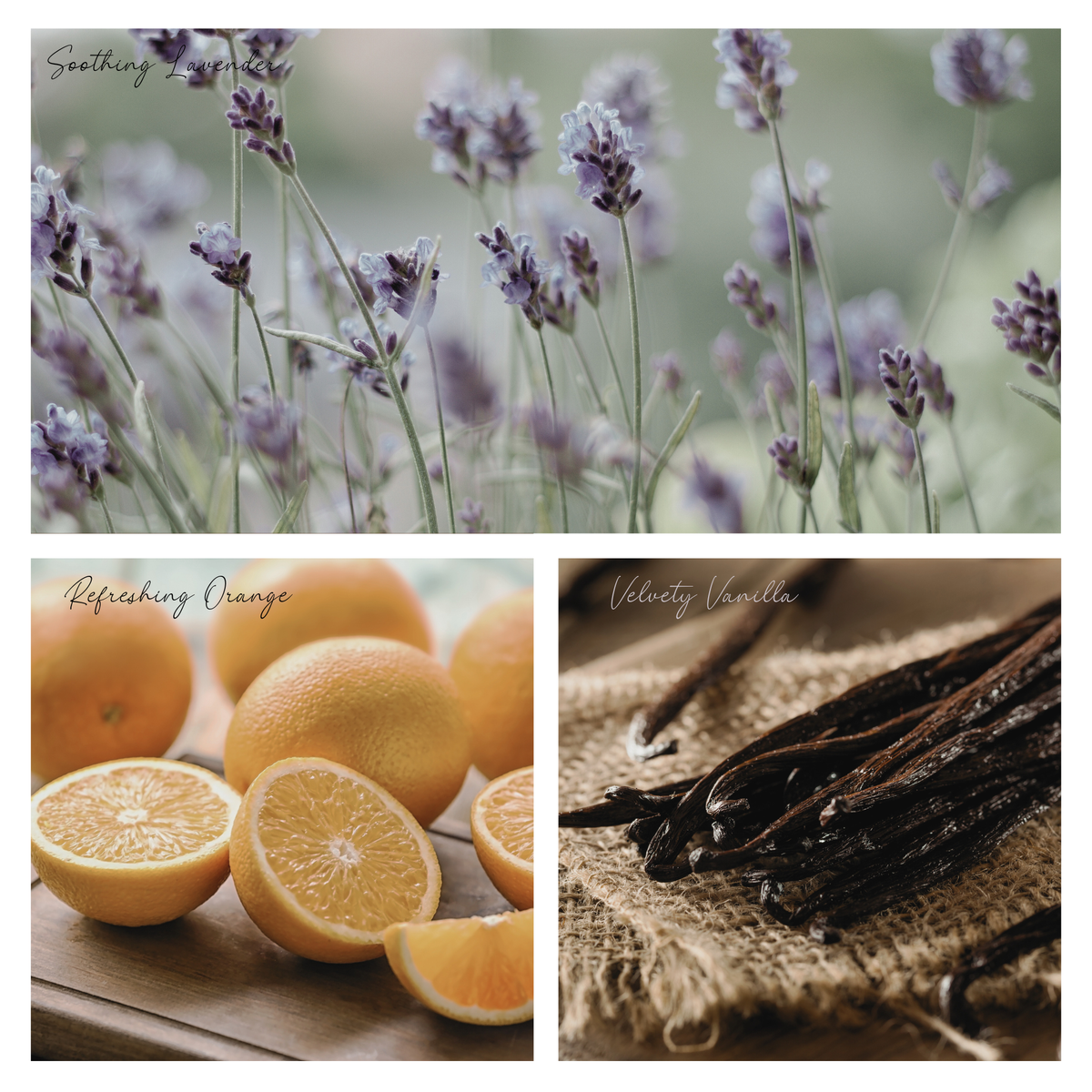 Be Serene Simmer Pot Mix, Natural Lavender Citrus Aroma