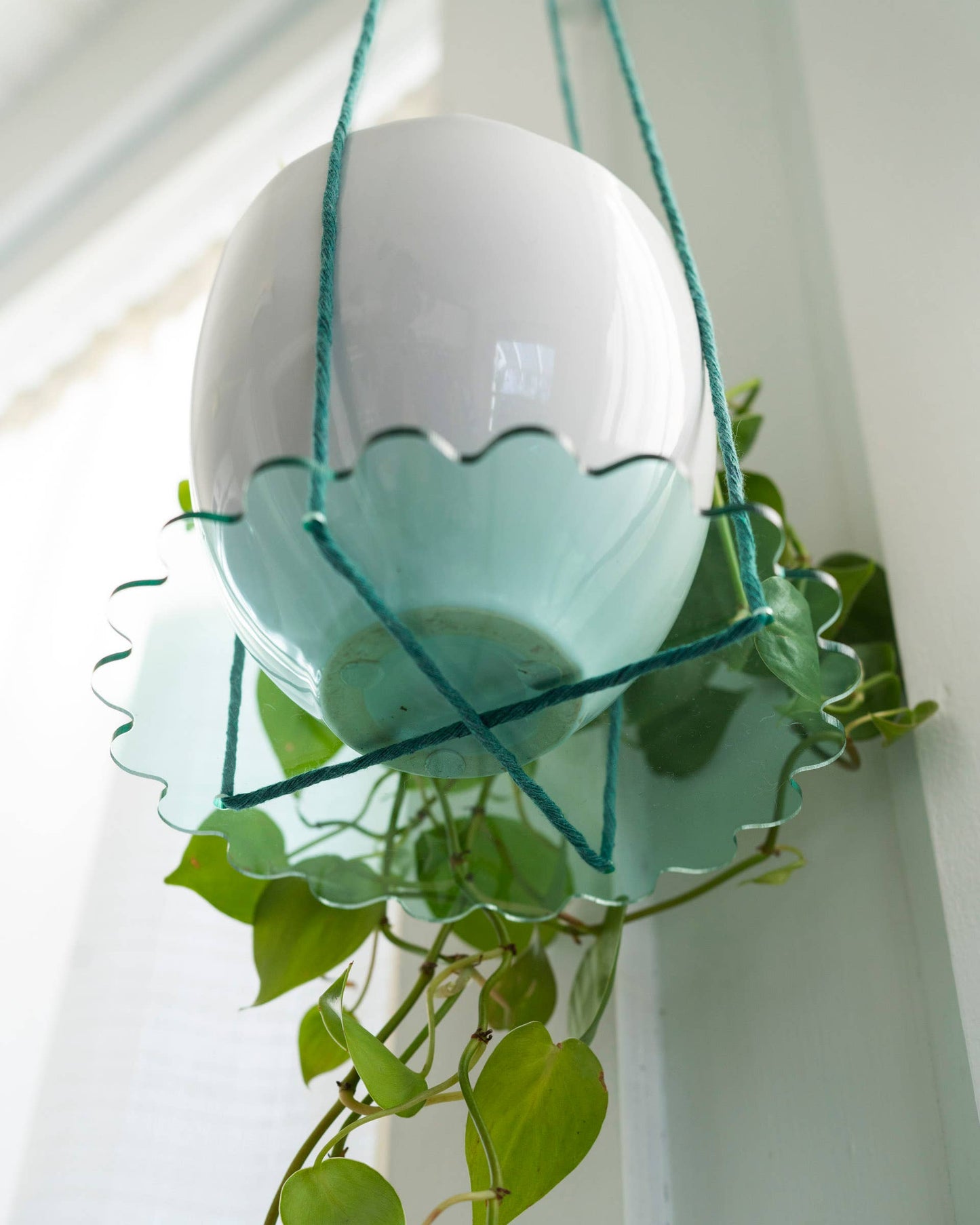 Squiggle Plate Plant Hanger