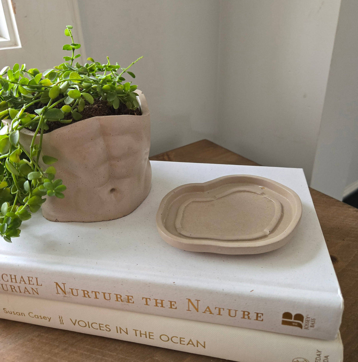 The Boyfriend Planter