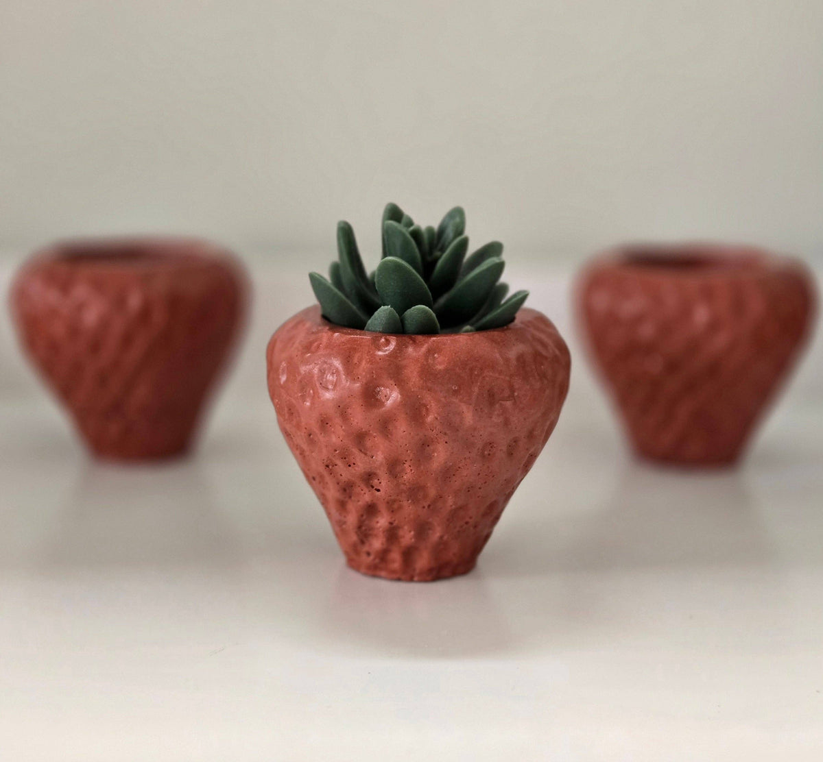 Strawberry Planter