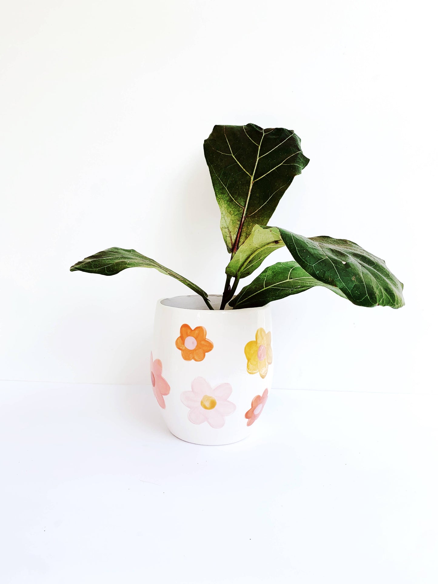Daisy Design Assorted Colors Plant Pot