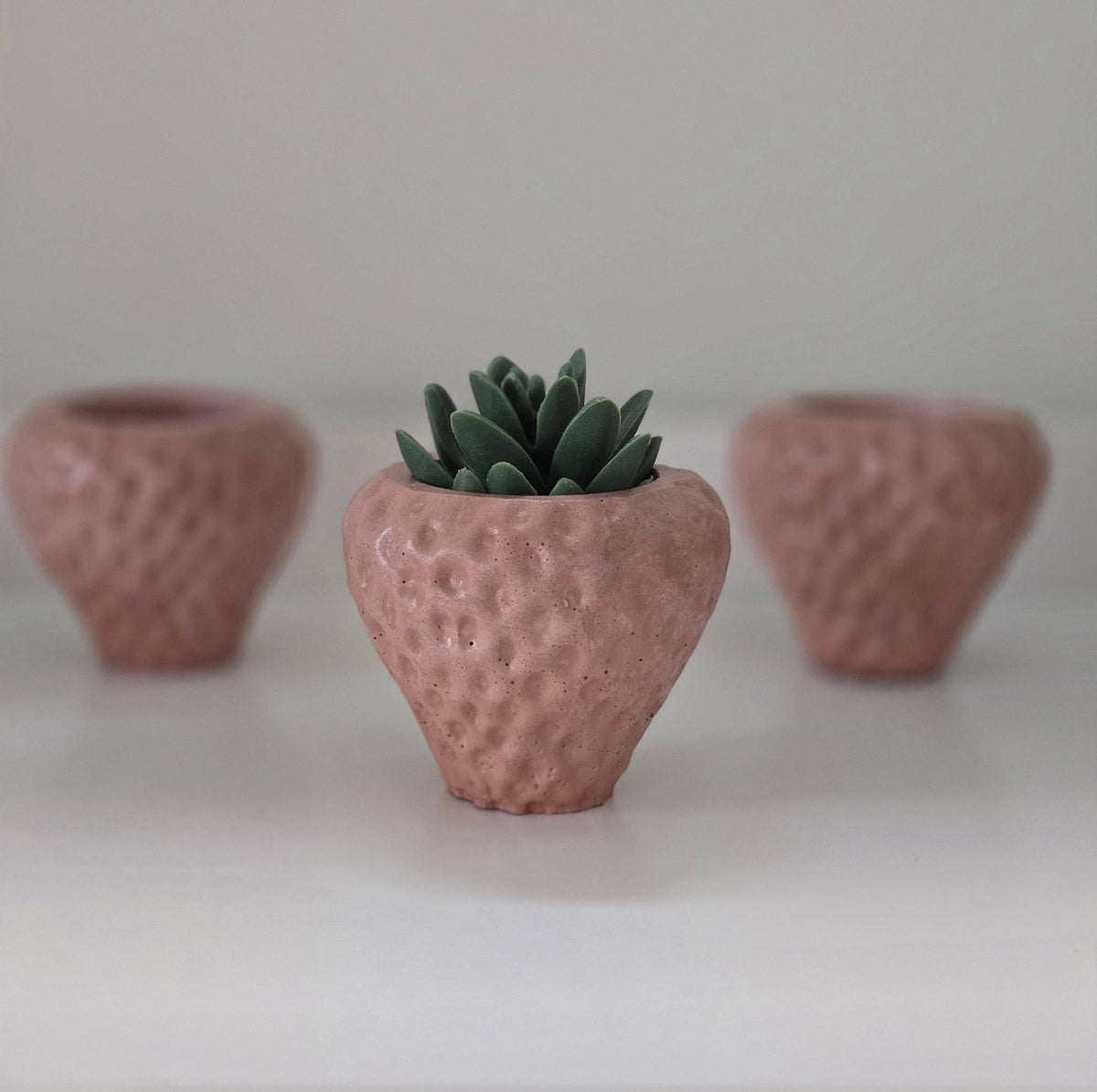 Strawberry Planter