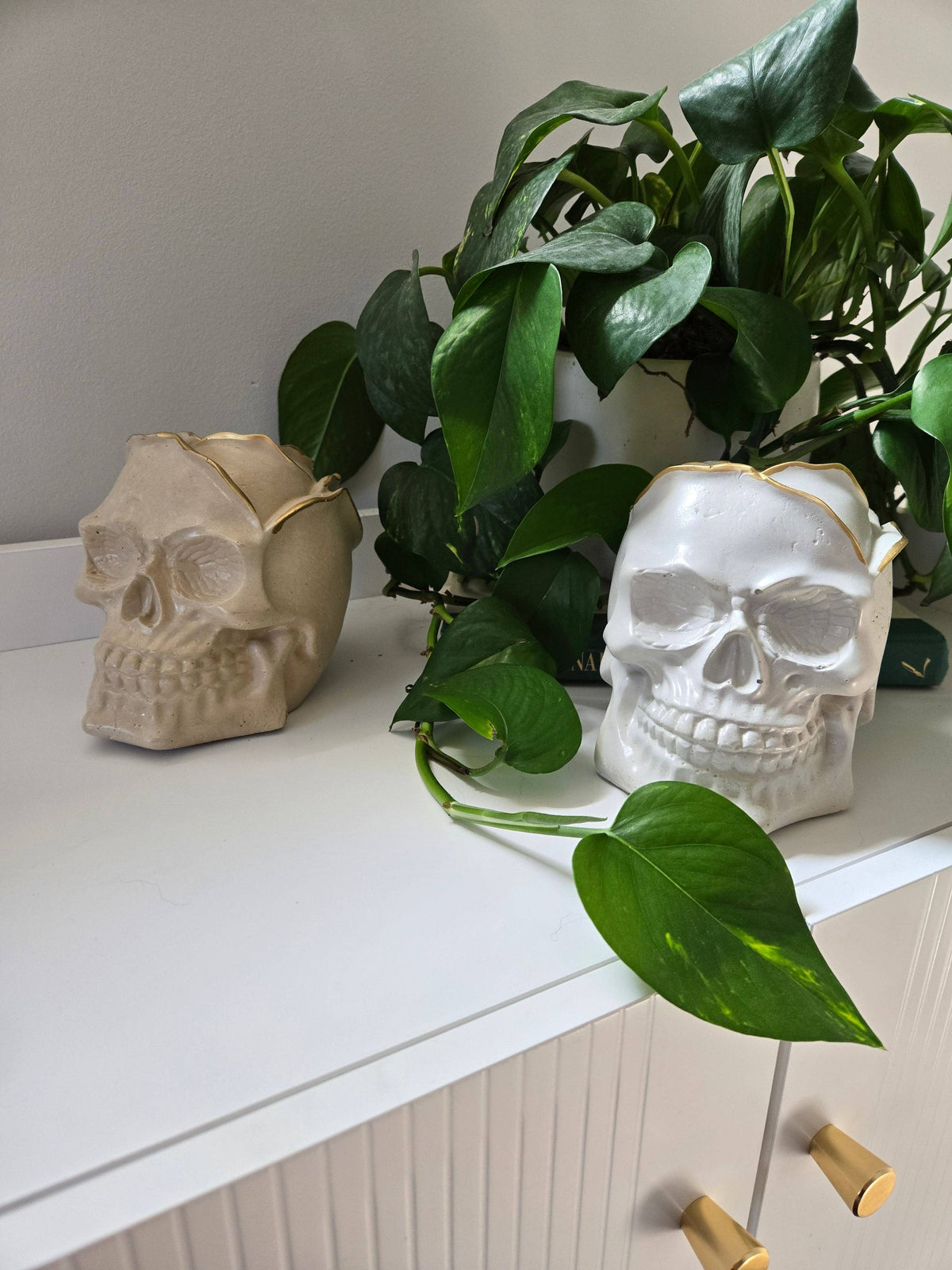 Rose Petal Skull