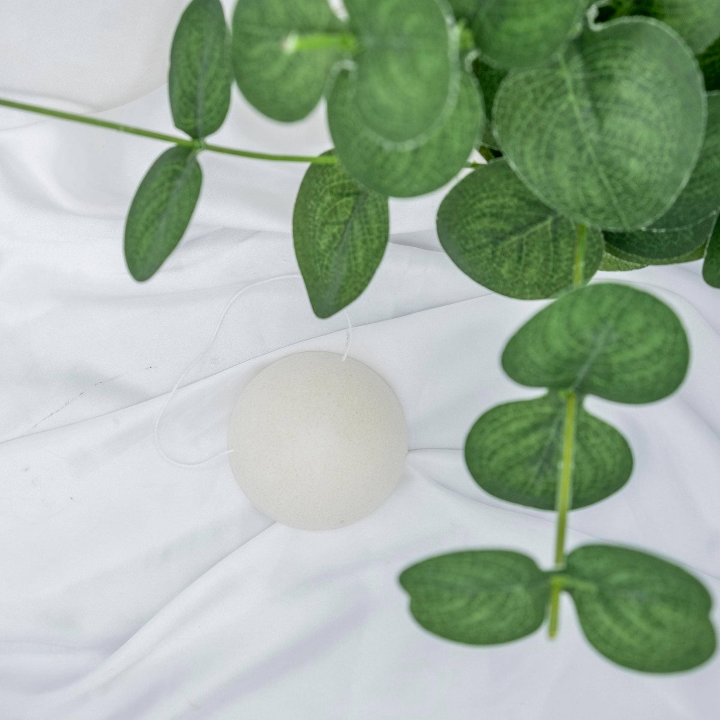 Konjac Facial Sponge