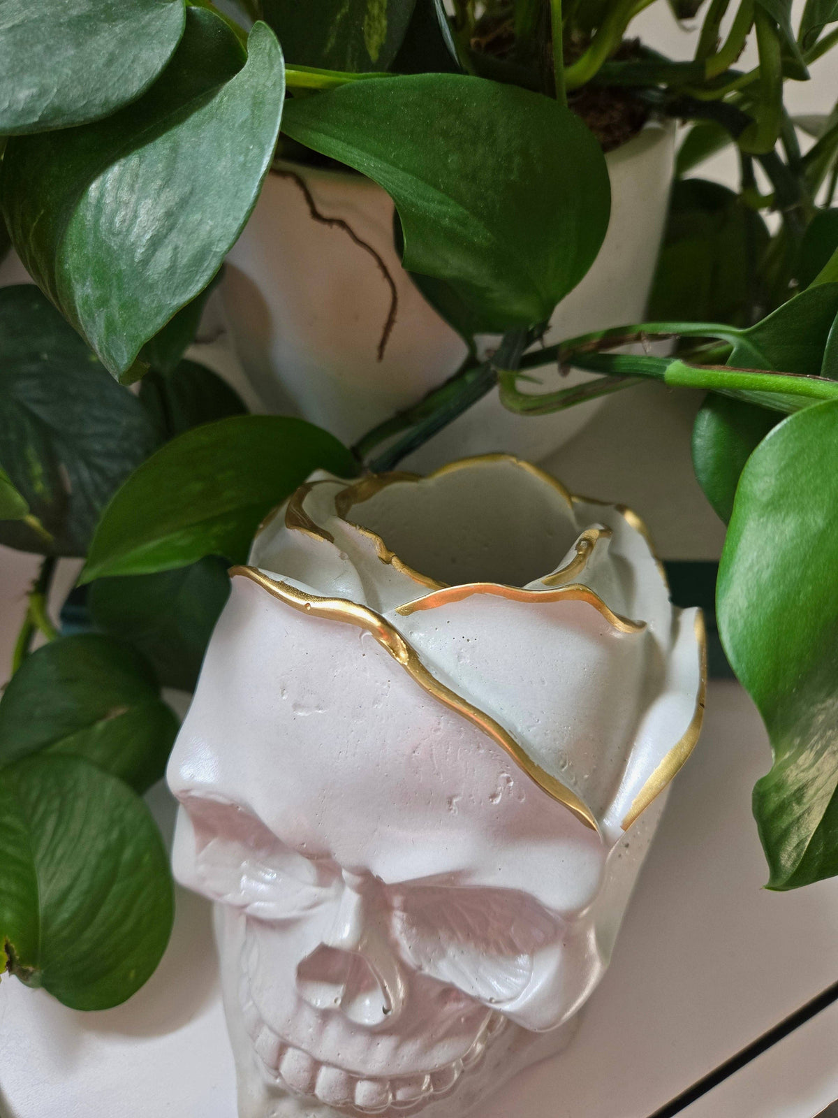 Rose Petal Skull