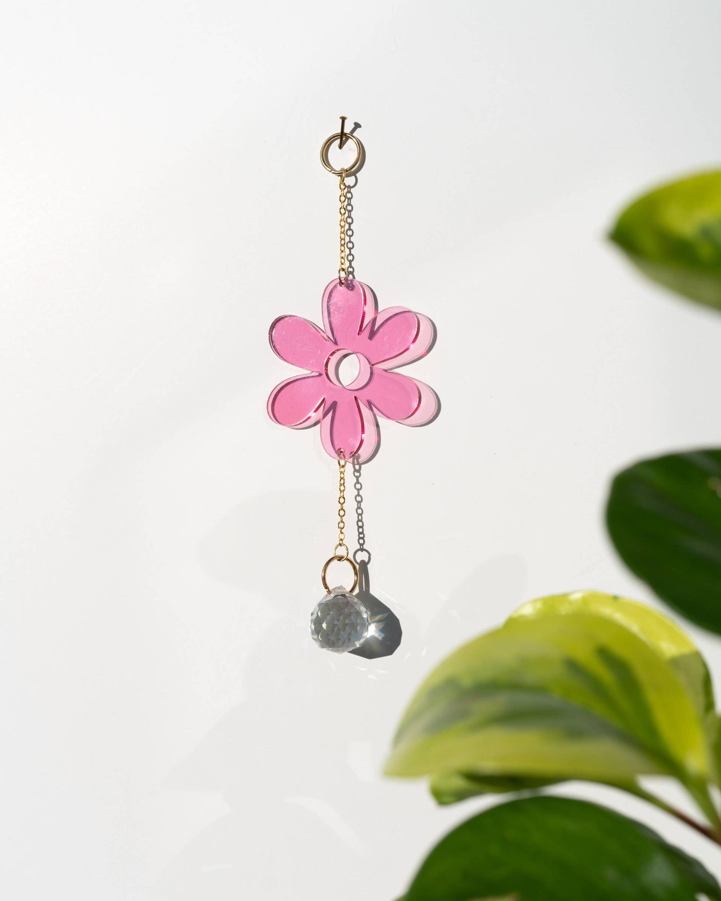 Daisy Singlet Sun Catcher