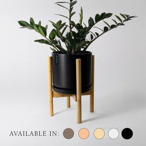 Two Set | 9" Signature Stone Planter & Bamboo Stand