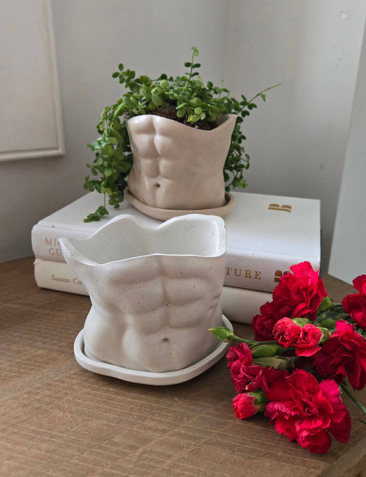 The Boyfriend Planter