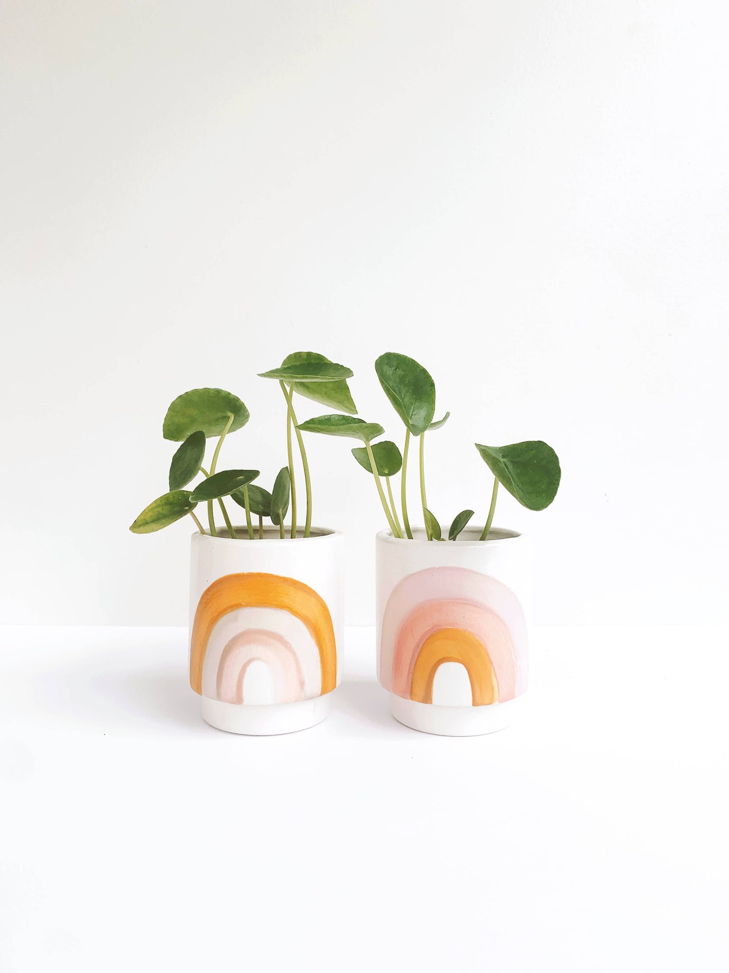 Rainbow Pots