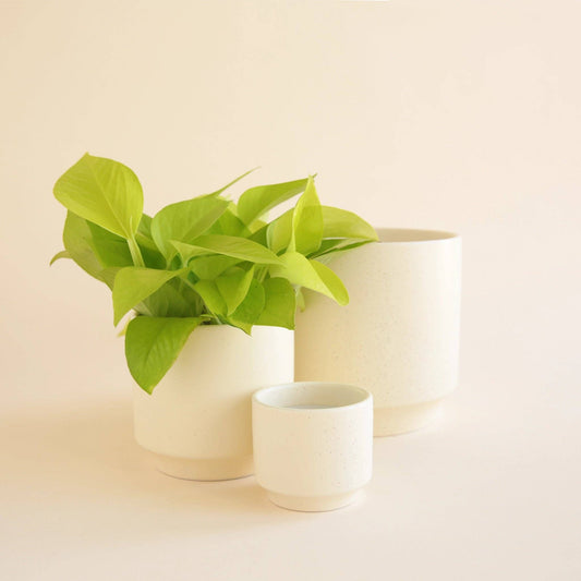Parker Pot | Vintage White Speckle