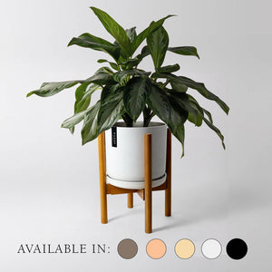 Two Set | 9" Signature Stone Planter & Bamboo Stand