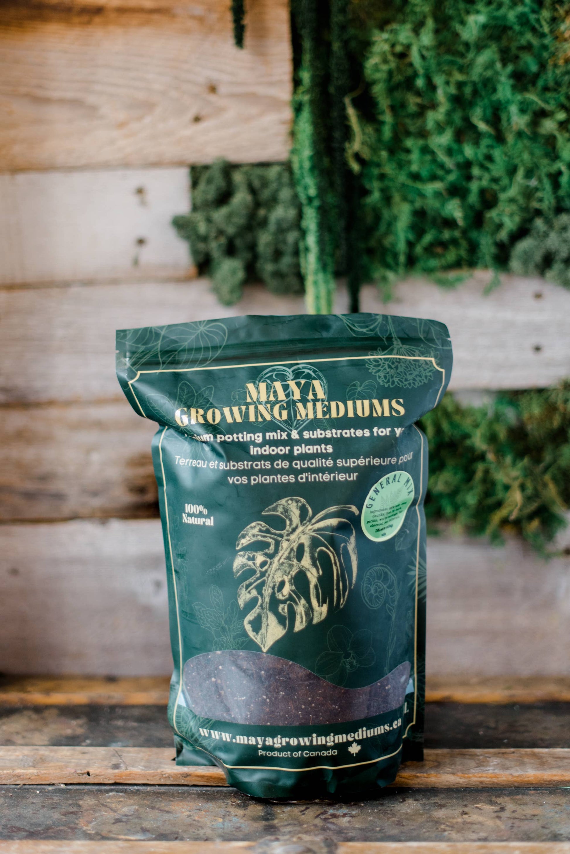 general potting mix General blend-Potting soil for indoor plants (Copy): Small (3 L) – Twenty-Two Stones Lifestyle Boutique
