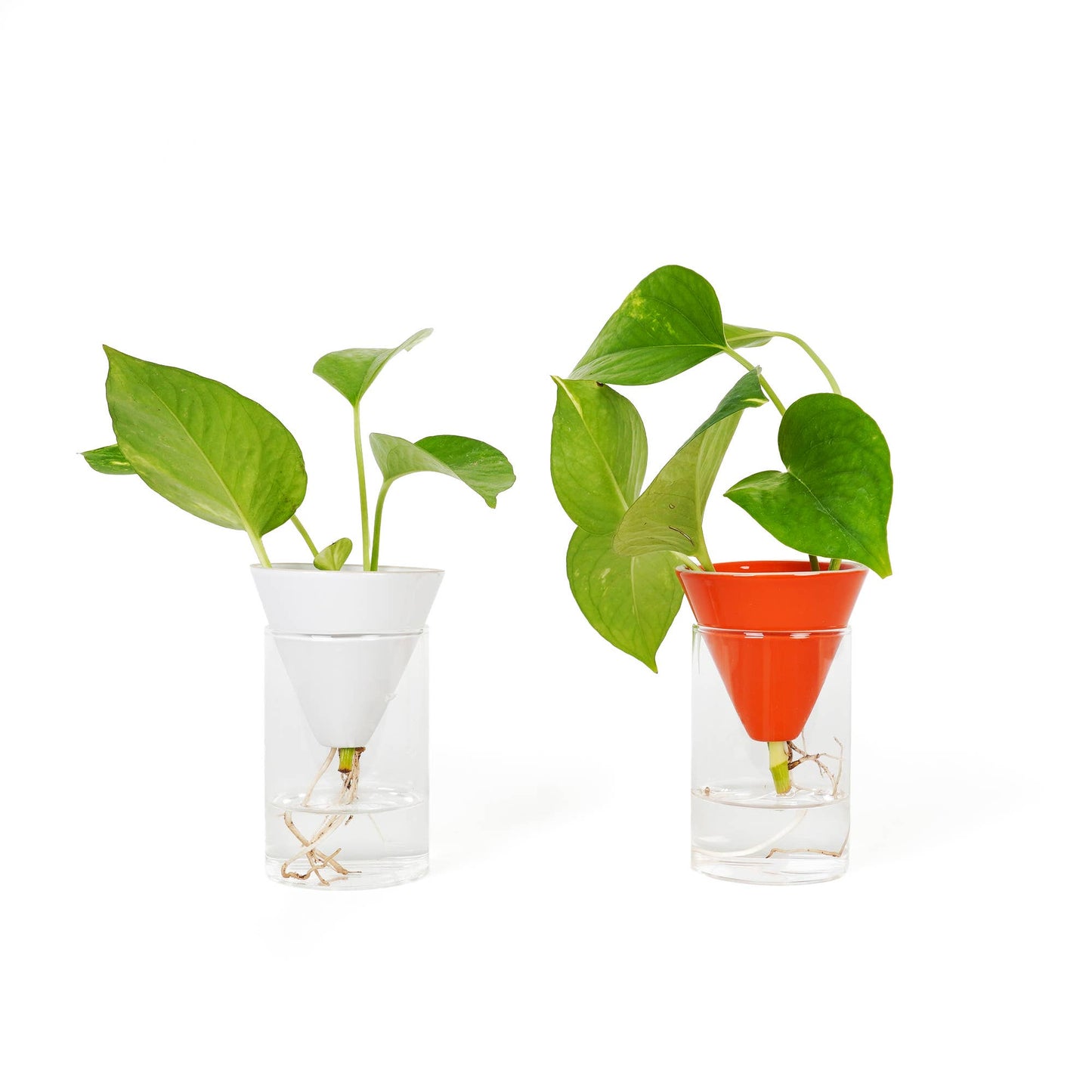 White Cone Hydroponics Vase HF