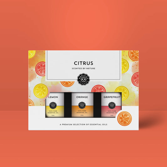 Citrus Faves Set Of 3