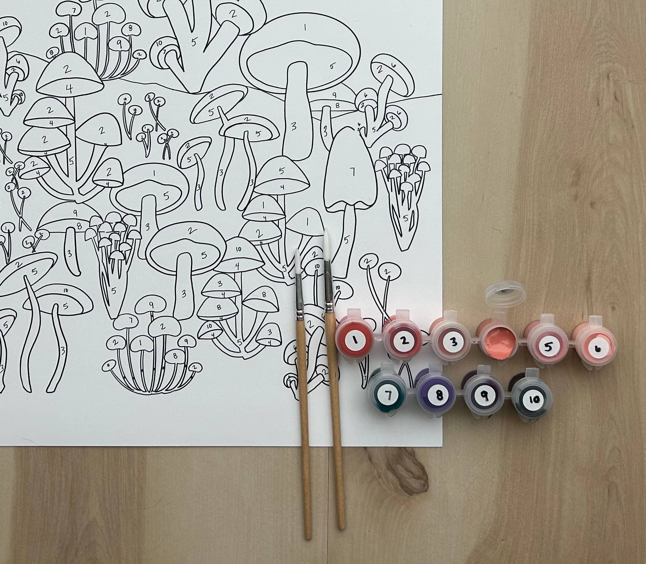 Night Mushrooms Paint by Number Kit