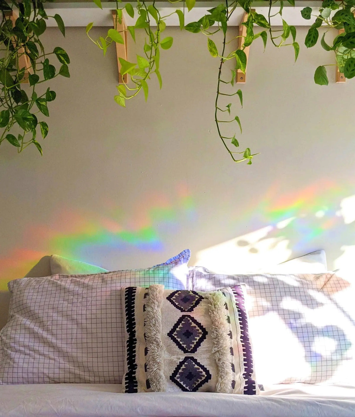 Greenhouse Suncatcher Sticker | Gift for Plant Lovers