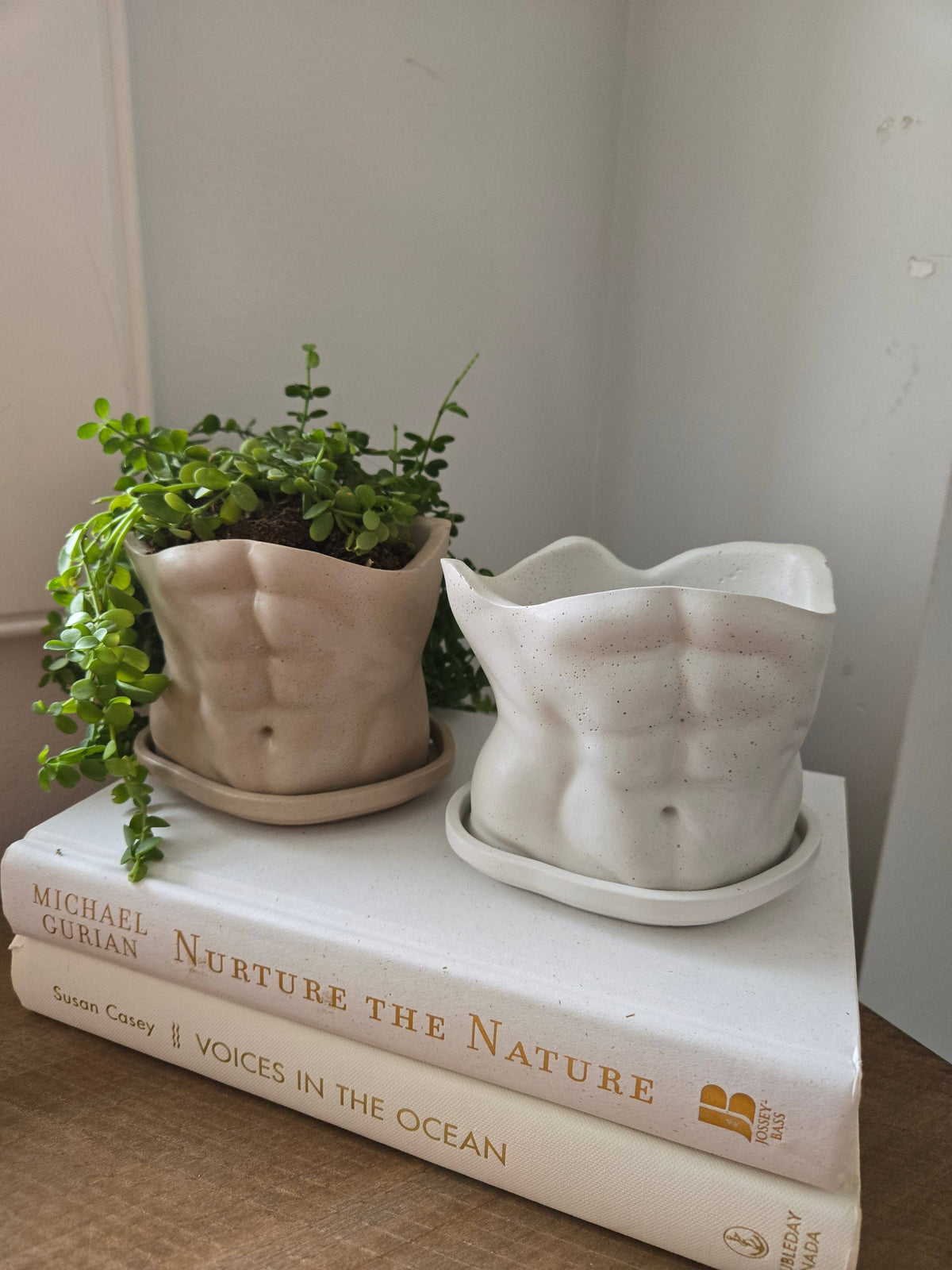 The Boyfriend Planter