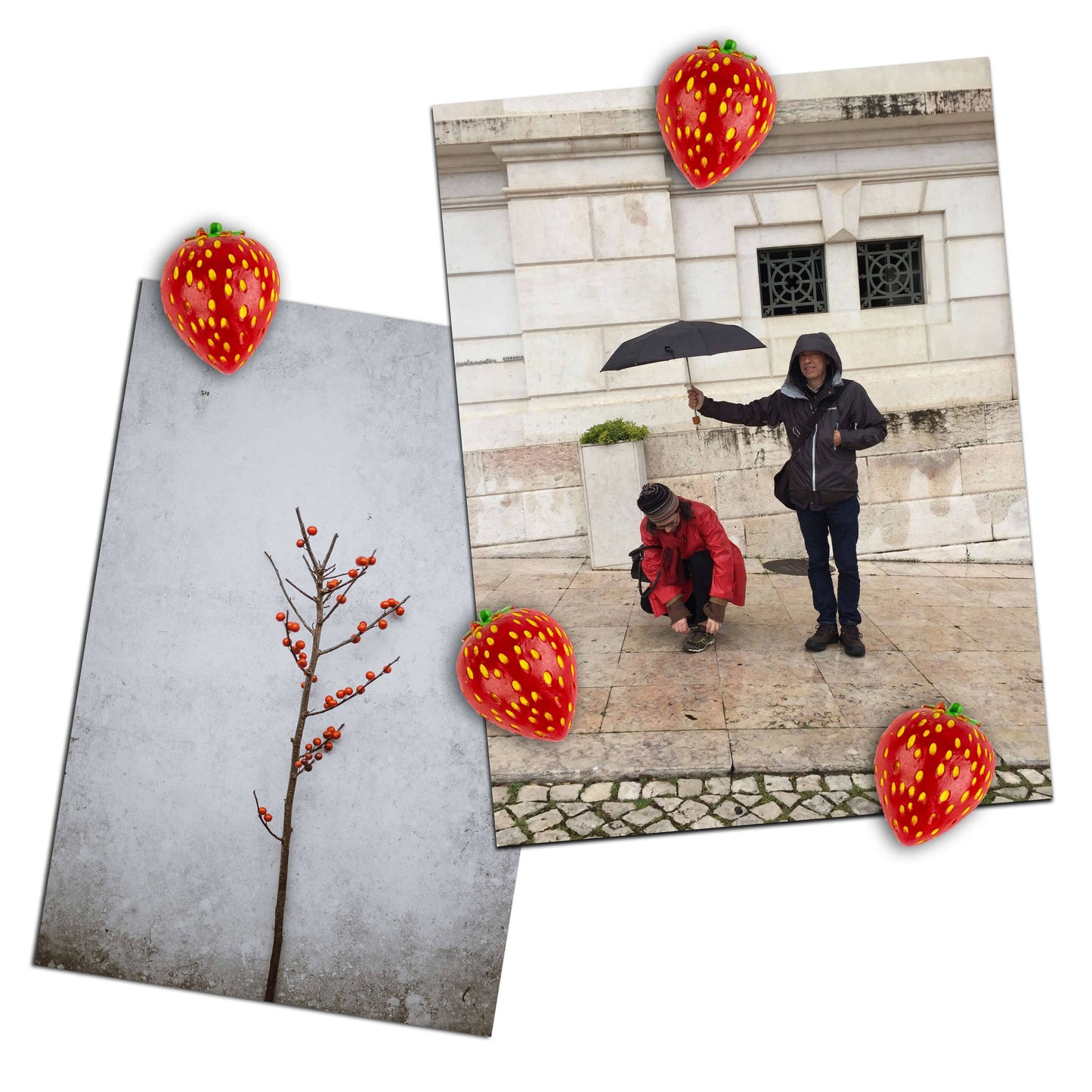 Colorful STRAWBERRY magnets ICONIC packaging s/4