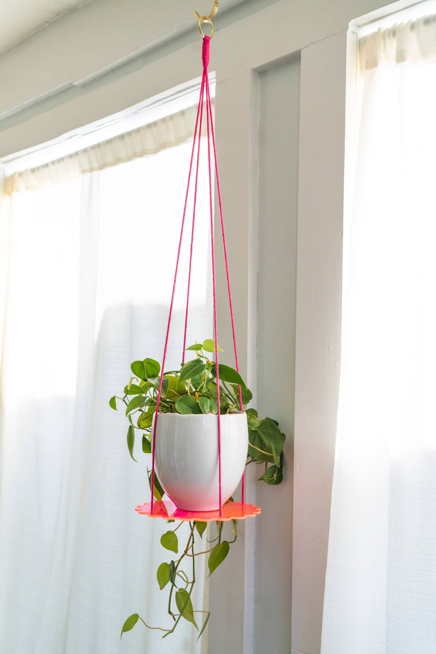 Squiggle Plate Plant Hanger