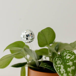 Disco ball plant stick