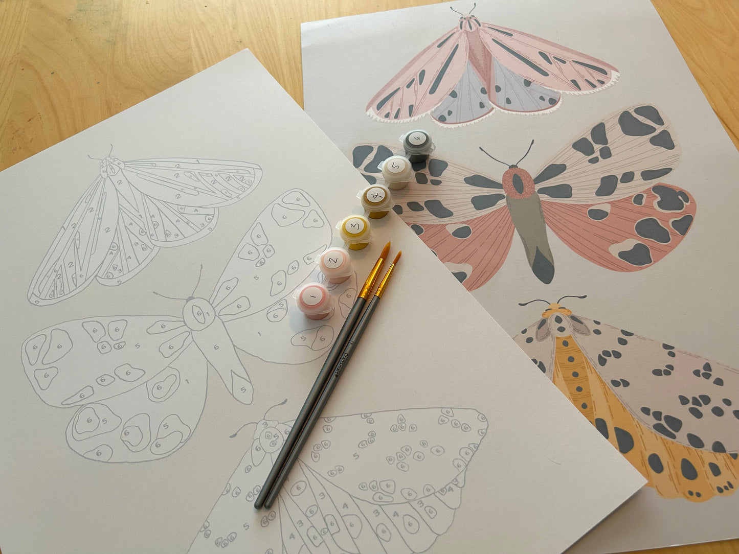 Vintage Butterflies Meditative Art Paint by Number Kit: Paint by Number Kit