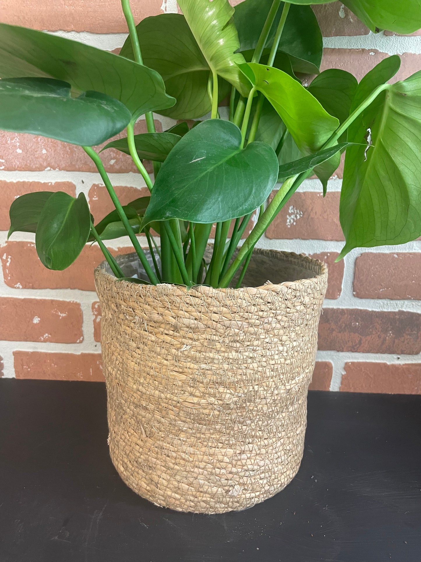 Seagrass Baskets