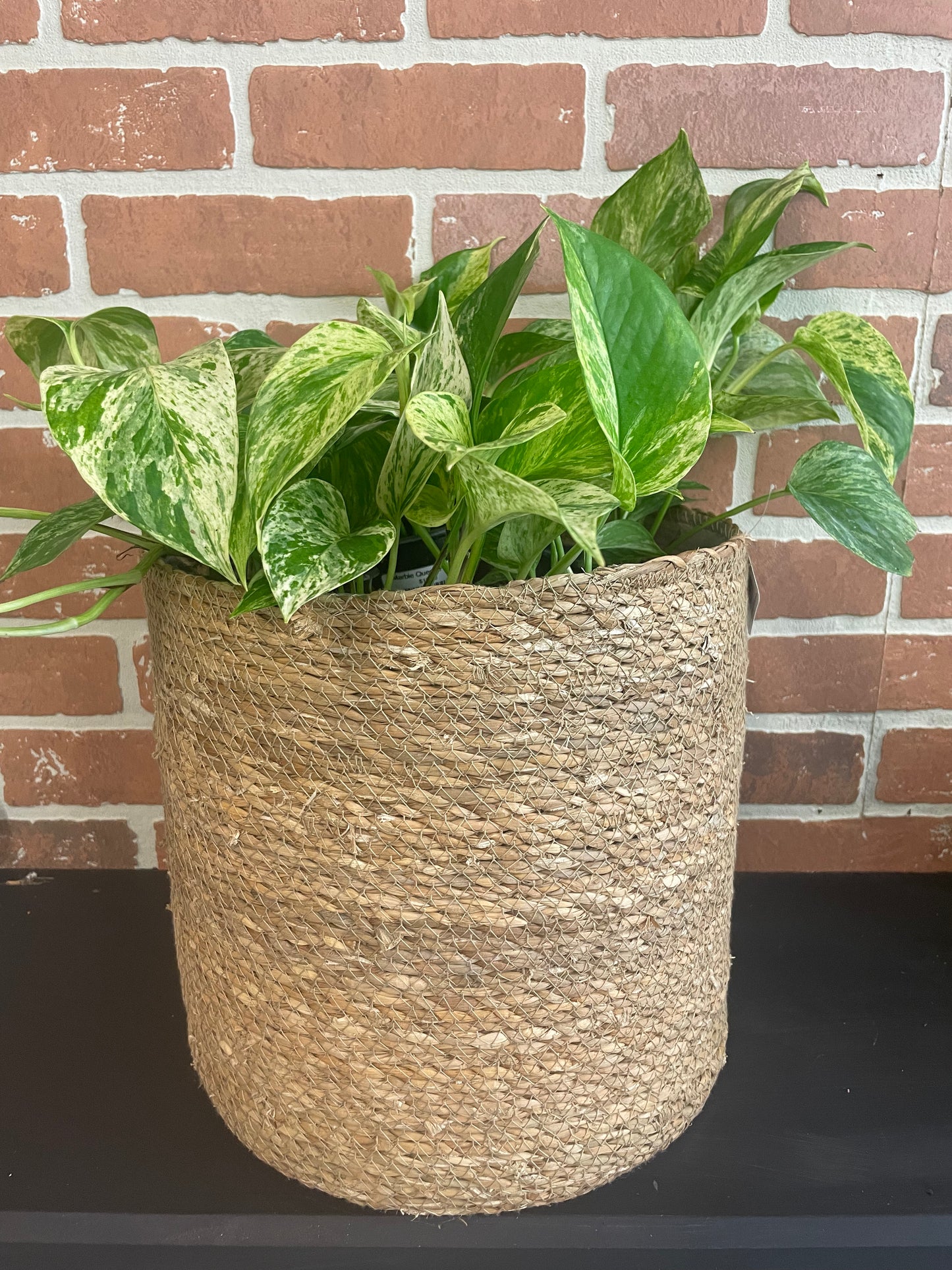 Seagrass Baskets