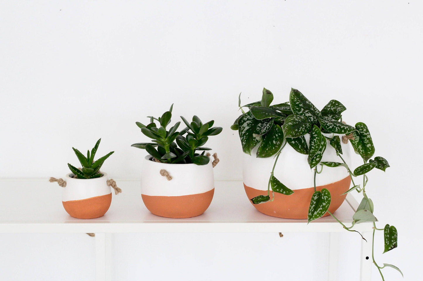 Burnt Orange Ceramic Hanging Planter Pot in White