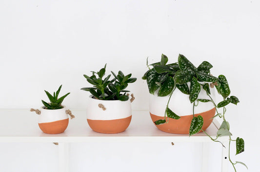 Burnt Orange Ceramic Hanging Planter Pot in White