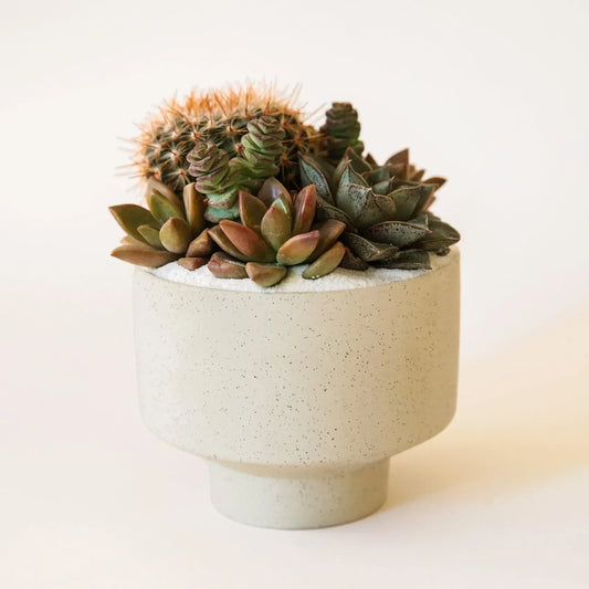 Speckle Footed Pot - Dove