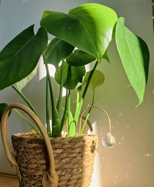 DROP brass and glass crystal suncatcher