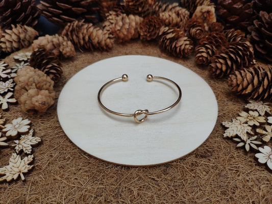 Stainless Steel Knot Bangle Bracelet 0097